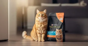 Purina cat food review