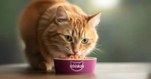 Whiskas Cat Food